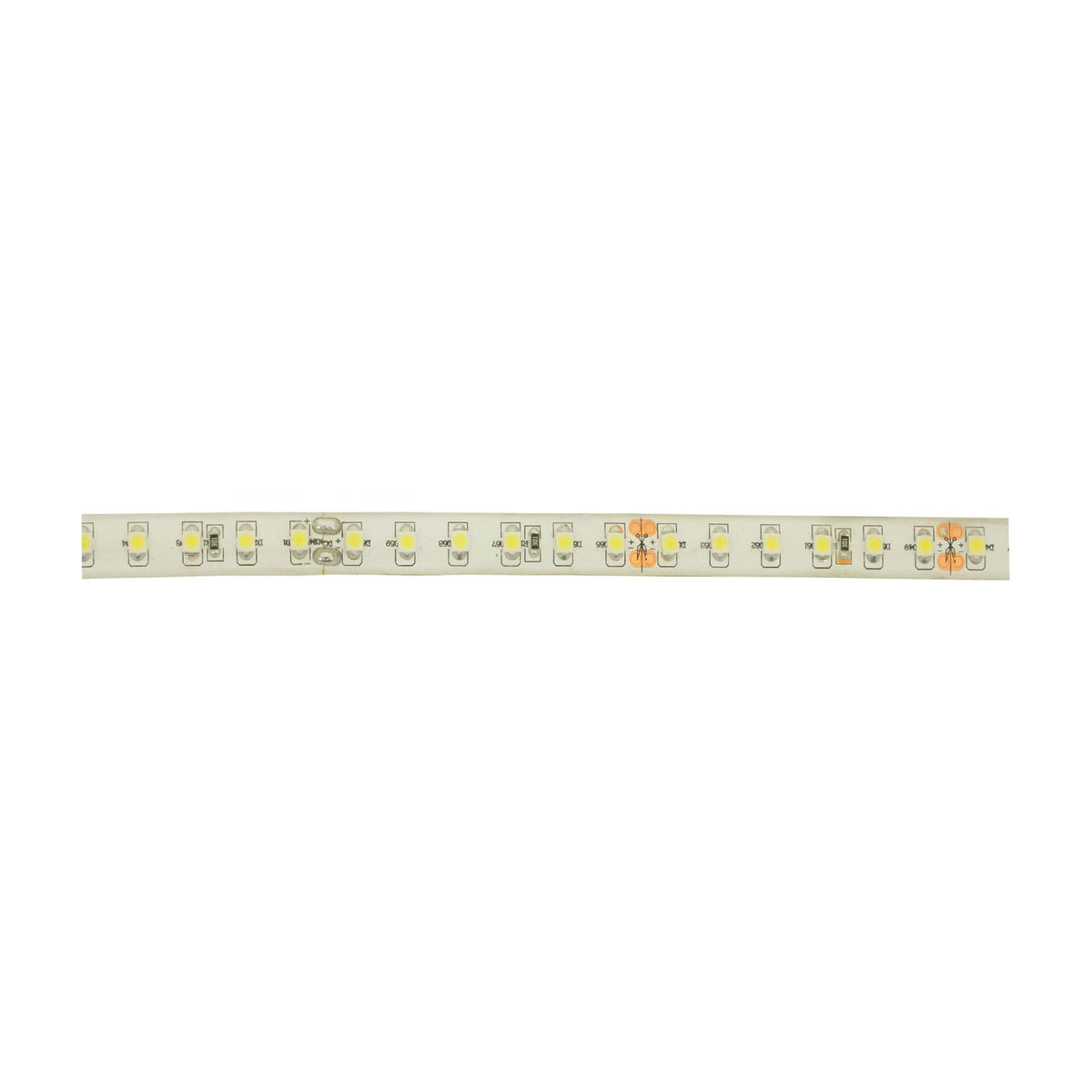 LYYT 24V high output LED strip light section showing cool white 6000K SMD LEDs at close spacing on a white IP65 epoxy-coated flexible PCB.