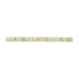 LYYT 24V high output LED strip light section showing cool white 6000K SMD LEDs at close spacing on a white IP65 epoxy-coated flexible PCB.