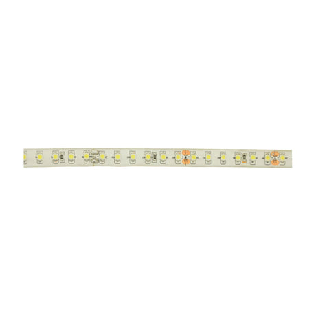 LYYT 24V high output LED strip light section showing cool white 6000K SMD LEDs at close spacing on a white IP65 epoxy-coated flexible PCB.