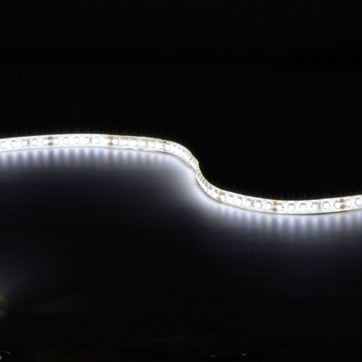 LYYT 24V high output LED strip light curved and illuminated in cool white 6000K against a black background, showing the flexible IP65 tape.