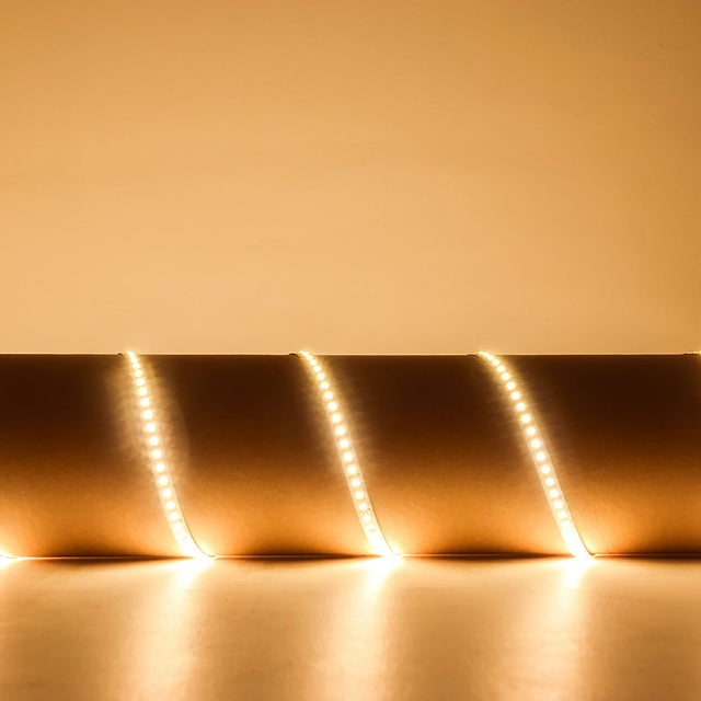 LYYT 24V High Output LED strip light coiled and illuminated in warm white 3000K against a softly lit neutral background.