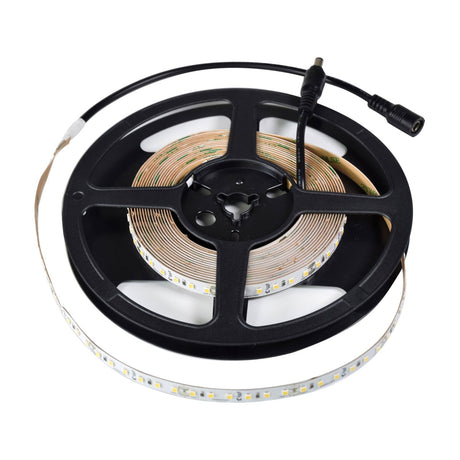 LYYT 24V high output LED strip light on a 5m black reel with cool white 6000K tape partially unwound, fitted DC connectors, on a white background.