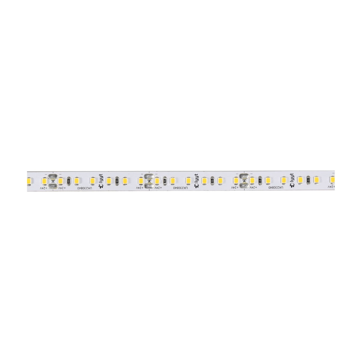 LYYT 24V high output LED strip light on a flexible white tape with densely spaced SMD LEDs, cut markers and 24V labels, shown on a plain background.