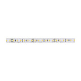 LYYT 24V high output LED strip light on a flexible white tape with densely spaced SMD LEDs, cut markers and 24V labels, shown on a plain background.