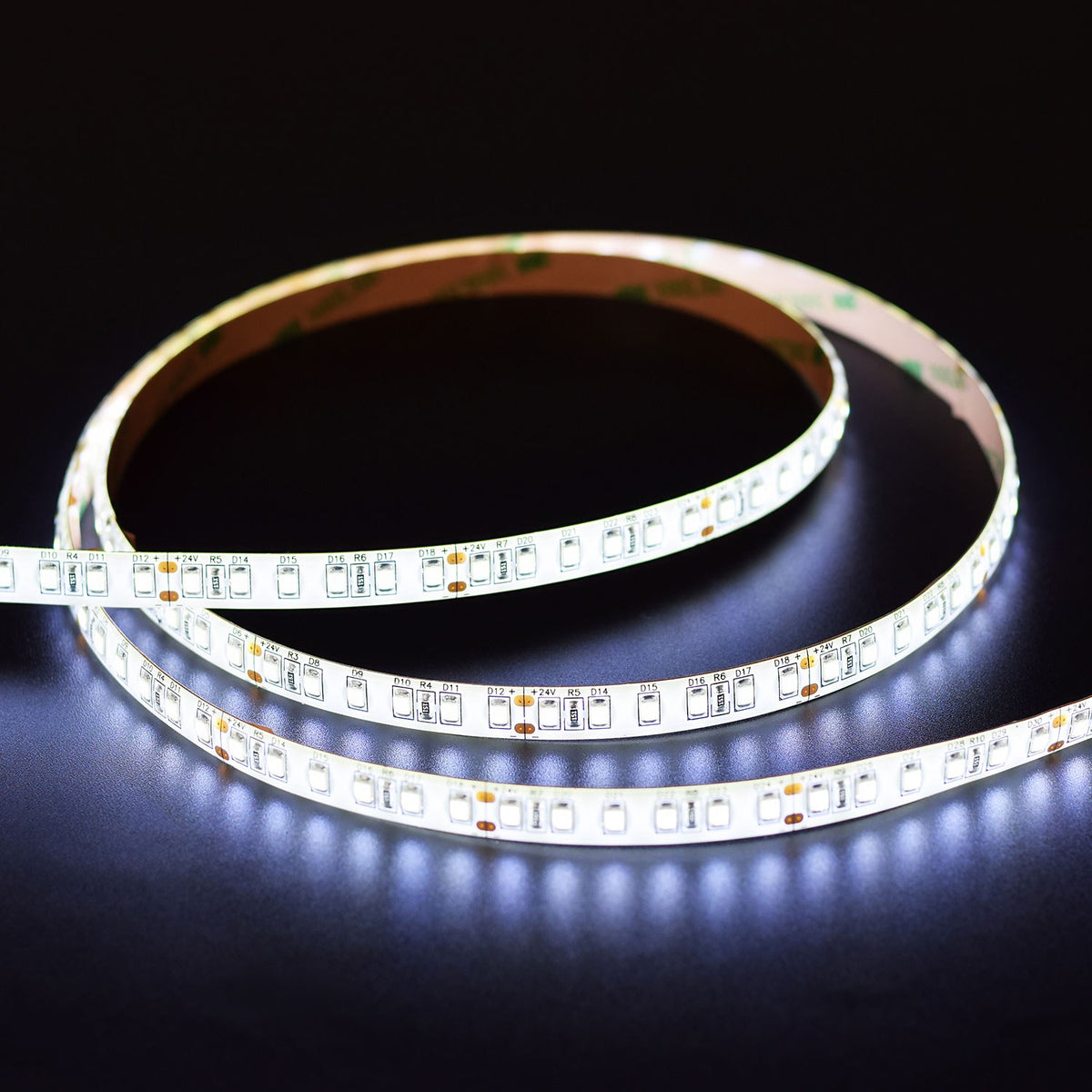 LYYT 24V high output LED strip light on a 5m reel by AVSL, coiled and illuminated in 6000K cool white against a black background.