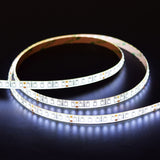 LYYT 24V high output LED strip light on a 5m reel by AVSL, coiled and illuminated in 6000K cool white against a black background.