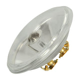 QTX PAR36 30W spotlight bulb with sealed beam glass lens, aluminised reflector and brass screw terminal fittings, shown on a white background.