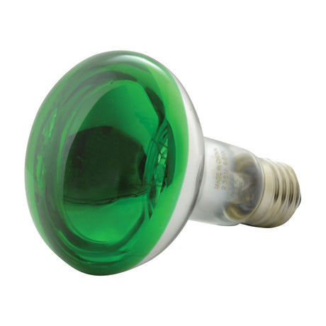 QTX R80 green-coated reflector bulb with E27 screw base and 60W 230V rating, shown on a plain white background.