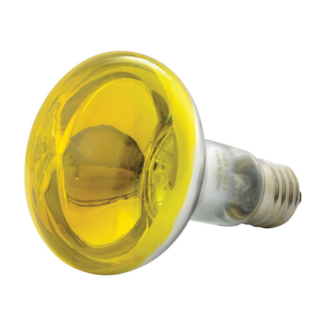 QTX R80 E27 60W reflector bulb in yellow with coated glass envelope and screw fitting, shown on a plain white background.