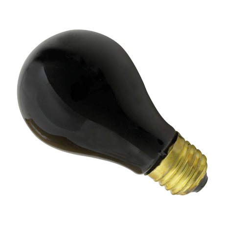 QTX 75W black light UV bulb with black glass envelope and brass E27 Edison screw fitting, shown on a plain white background.