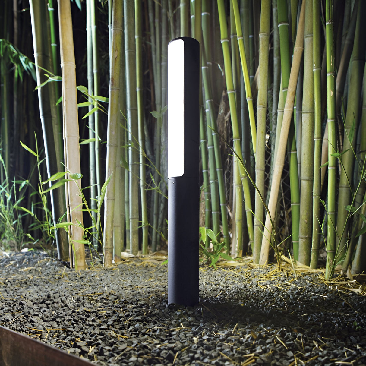 The Glintis Outdoor LED Bollard Light in anthracite casts a bright white glow over a garden area with small pebbles, enhancing the vibrant greenery of the surrounding bamboo plants.