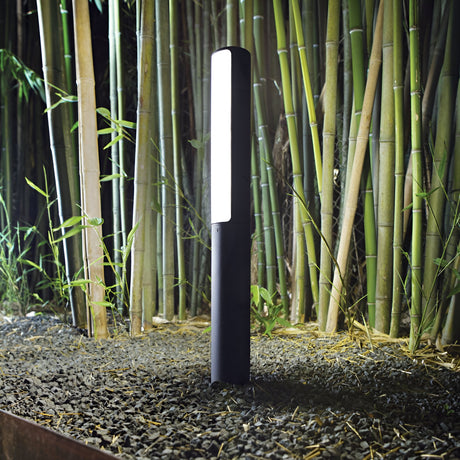 The Glintis Outdoor LED Bollard Light in anthracite casts a bright white glow over a garden area with small pebbles, enhancing the vibrant greenery of the surrounding bamboo plants.