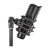 Citronic CM25 Cardioid Studio Condenser Microphone