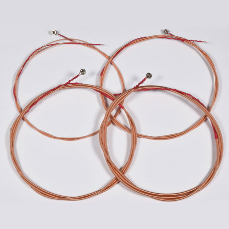Chord ABS-4095 bronze wound acoustic bass strings, four coiled strings with ball ends on a plain light grey background.
