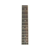 Chord BJS-5 5-String Banjo String Set