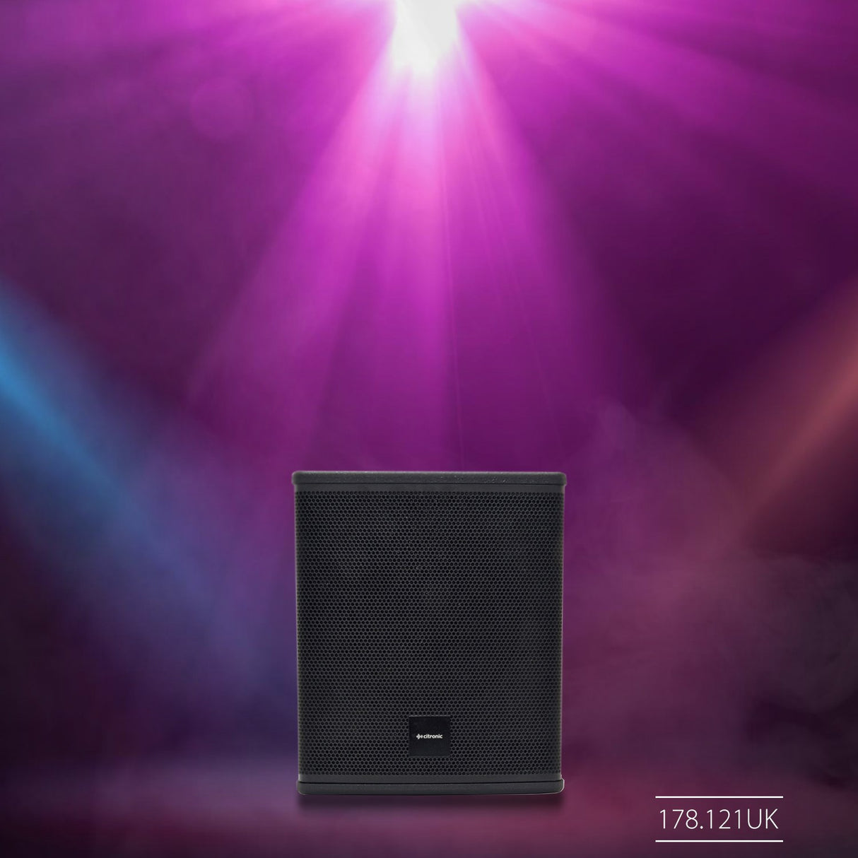 Citronic CASA-10B 300Wrms Passive Subwoofer Cabinet