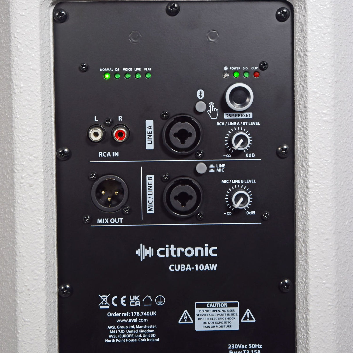 Rear control panel of the Citronic CUBA-10AW active PA speaker showing DSP presets, RCA, XLR and jack inputs, level knobs and Bluetooth.