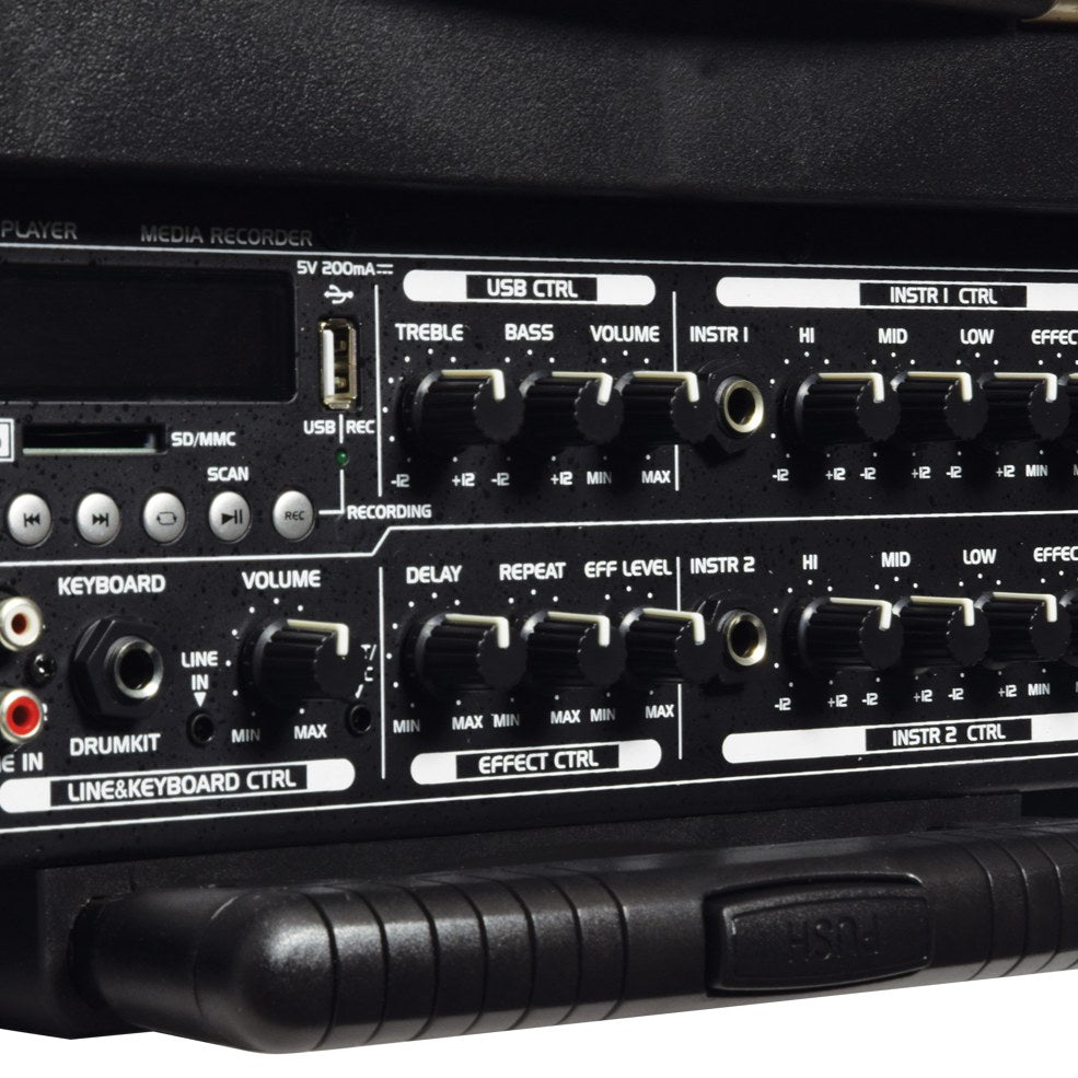 Close-up of the AVSL QTX DELTA-200 Portable PA System control panel showing USB port, SD slot, media buttons, and treble, bass, volume and effect knobs.