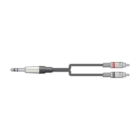 Citronic S6J-2R300 audio lead with a stereo 6.3mm TRS jack plug splitting to two RCA phono plugs with red and black bands, shown on a white background.