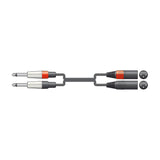 Citronic 26J-2XM300 Twin Jack to XLR Male Audio Lead 3m