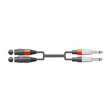 Citronic 26J-2XF300 Twin XLR to Jack Audio Lead 3m