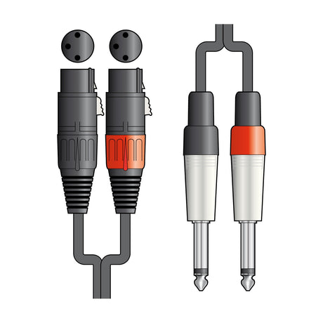 Citronic 26J-2XF600 dual audio lead with two female XLR connectors and two 6.3mm mono jack plugs on a plain white background.