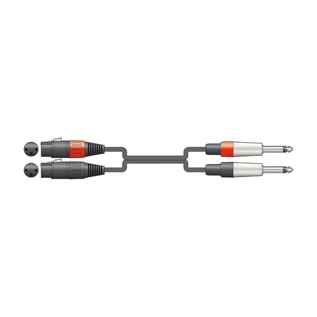 Citronic 26J-2XF600 dual audio lead with two female XLR connectors and two 6.3mm mono jack plugs joined by black cable, on a white background.
