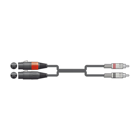 Citronic 2R-2XF300 audio cable with two female XLR connectors splitting to two RCA phono plugs, red and black rings, shown on a plain white background.