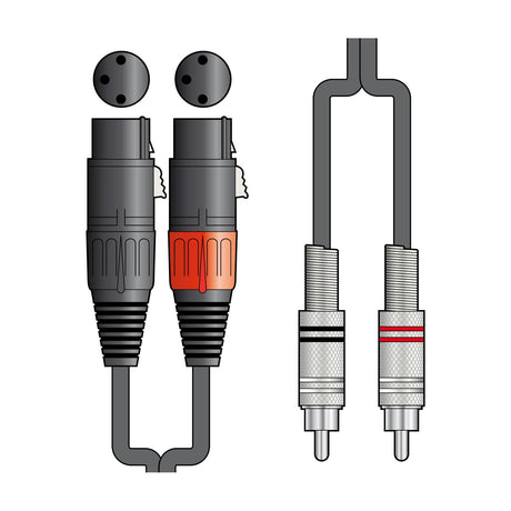 Citronic 2R-2XF600 6m audio lead with two female XLR connectors and two RCA phono plugs shown on a plain white background.