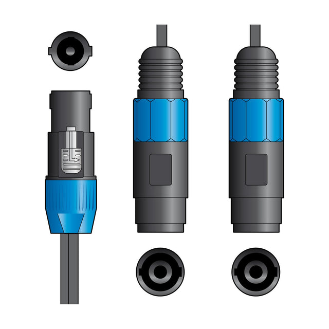 Citronic Classic 0.3m speaker splitter lead by AVSL with one male SPK plug splitting to two female SPK sockets, shown on a white background.
