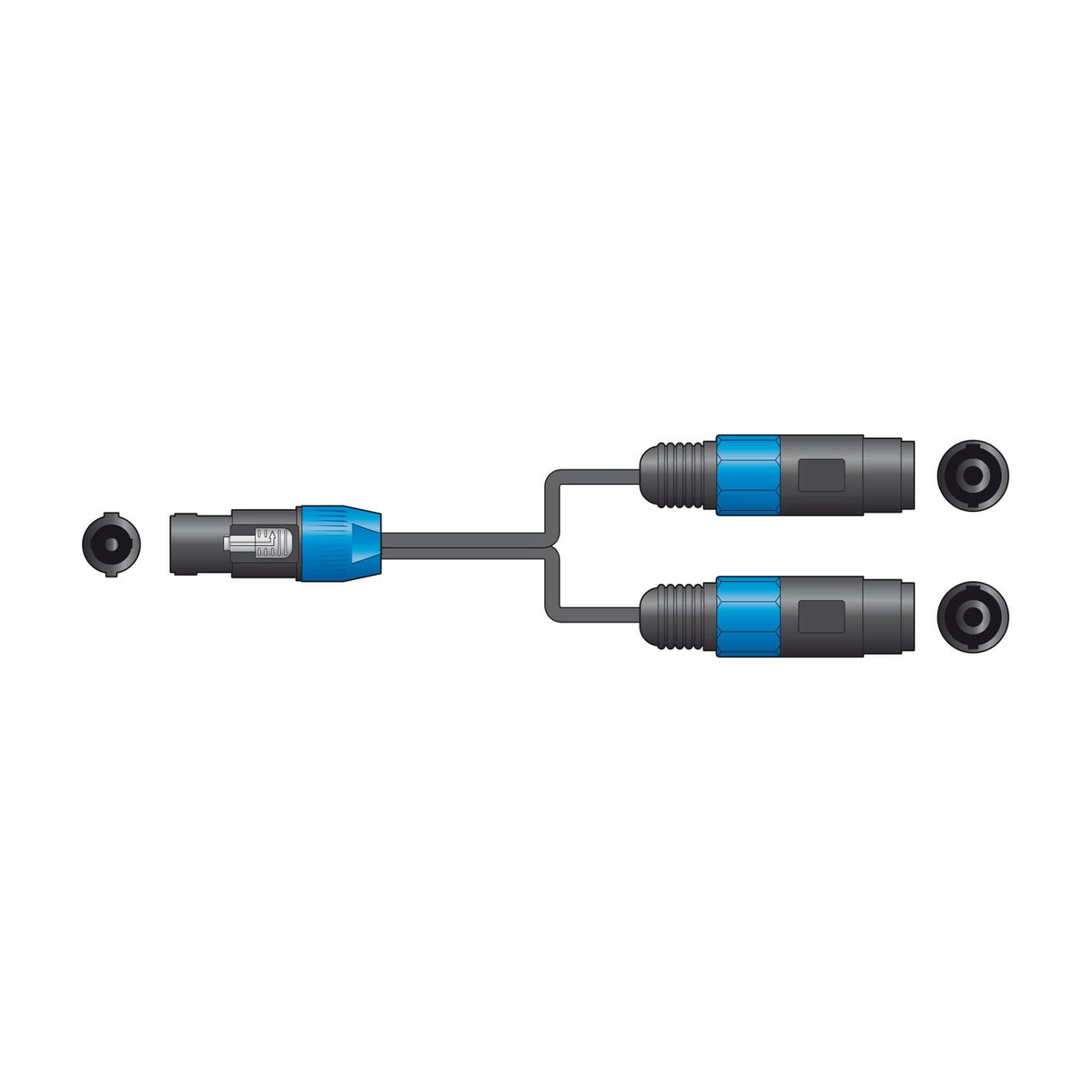 Citronic Classic 0.3m speaker splitter lead by AVSL with one male SPK twist-lock plug branching to two female SPK sockets, shown on a white background.