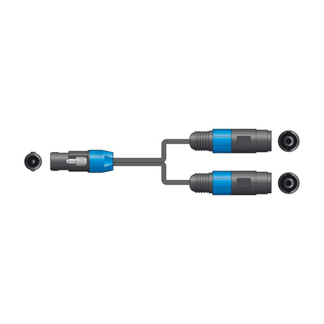 Citronic Classic 0.3m speaker splitter lead by AVSL with one male SPK twist-lock plug branching to two female SPK sockets, shown on a white background.