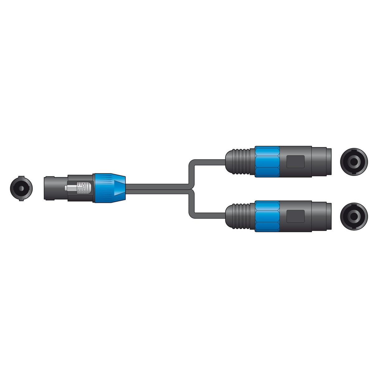 Citronic Classic Speaker Splitter Lead - 0.3m