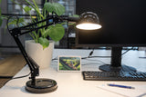 PIXA 10W Adjustable E14 Desk Lamp - Black