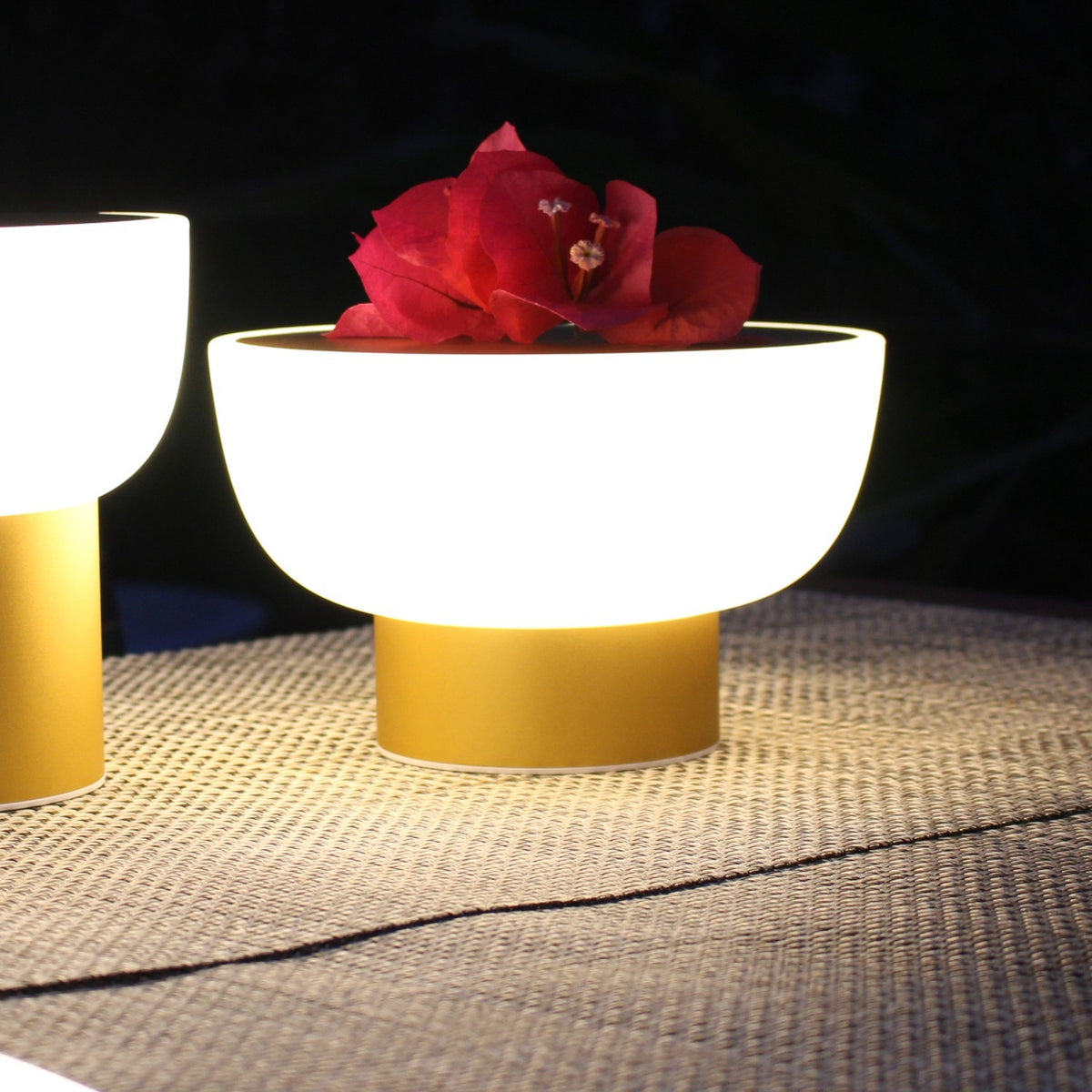 Patio LED Rechargeable Outdoor Table Lamp in gold, bowl-shaped white glowing shade on a slim gold cylinder base, shown lit outdoors with a red flower resting on top beside a second matching lamp.