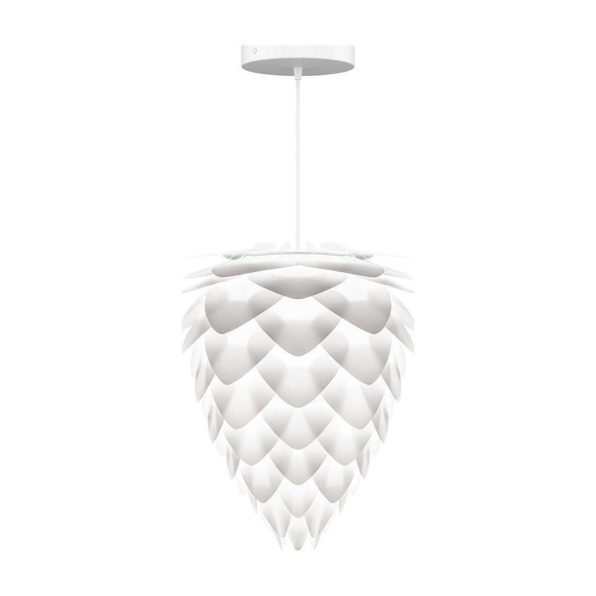 2019 packshot 6