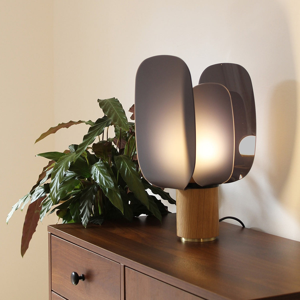 Iselmorne Wooden Table Lamp in black, with curved smoked acrylic panels on a cylindrical oak base, lit atop a dark wood dresser beside a potted plant.