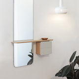 2051 in-situ 4