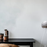 2079 in-situ 4