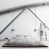 2079 in-situ 7