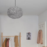 2089 in-situ 2