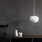 2091 in-situ 4
