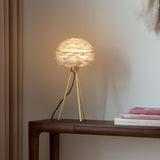 2091 in-situ 7