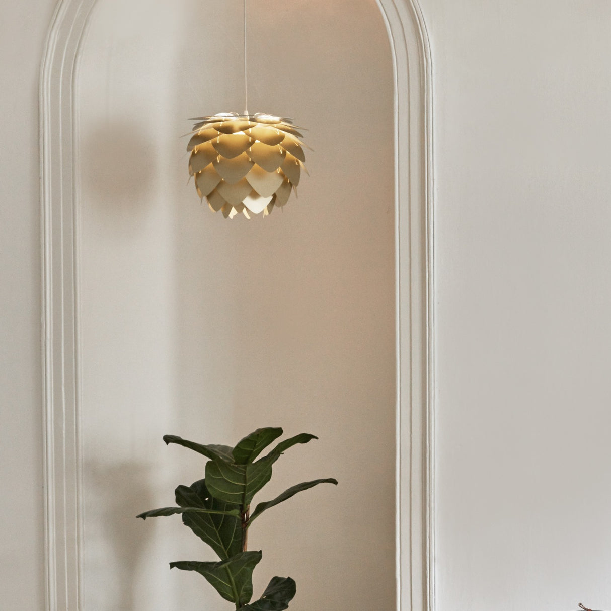 2121 in-situ 4