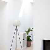 2128 in-situ 3