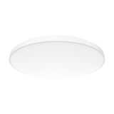 Round 30cm flush ceiling light with a shallow opal white acrylic disc and slim white edge ring, shown at an angle on a plain white background, 24W IP54, 4000K.