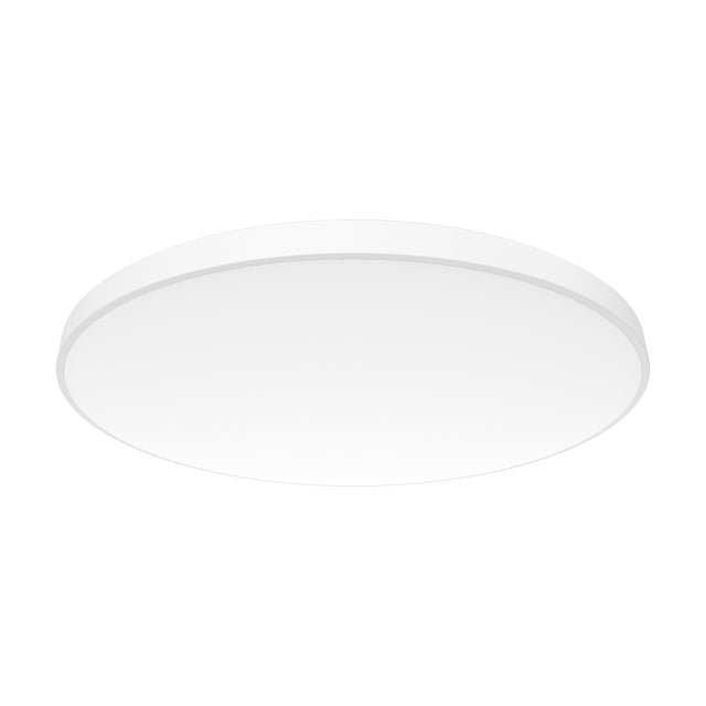 Round 30cm flush ceiling light with a shallow opal white acrylic disc and slim white edge ring, shown at an angle on a plain white background, 24W IP54, 4000K.