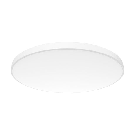 Round flush ceiling light with opal white acrylic diffuser and slim white trim, 30cm disc shape, 24W IP54 6400K daylight LED, shown on a plain white background.