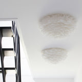 2141 in-situ 3