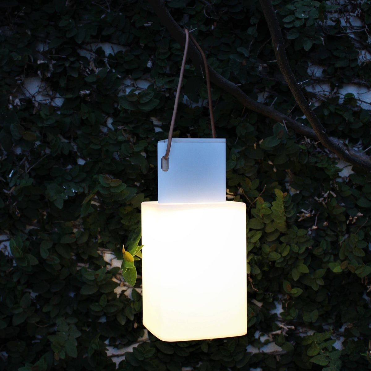 Cuadrat LED Rechargeable Outdoor Table Lamp in white, square glowing shade on a squared base, hung by a leather strap from a tree branch amid dark green foliage.